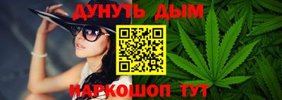 сатива Кингисепп